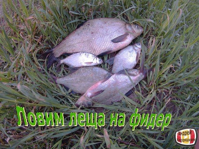 Выезд на рыбалку на речку с ночевкой/ Ловля на фидер и донки подлещика / Ловля лещей