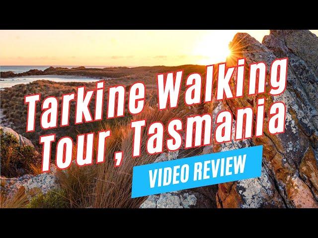 Amazing Things to Do in the TARKINE Wilderness, Tasmania | Walking Tour with Park Trek