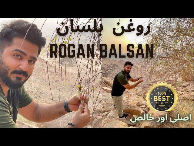 Roghan e balsan in Madina Badr  Roghan Balsan purest best quality