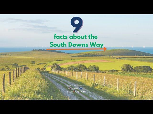 9 facts about the South Downs Way