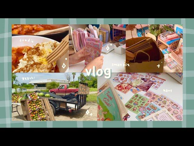 vlog ep 010 🪷 small business haul, packing orders, beach trip, & making tteokbokki