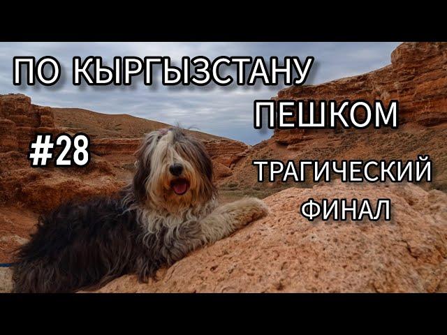 28. Матильда. Трагический финал.