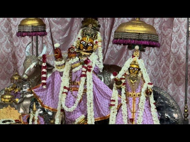 Shri Govind Dev Ji ki Gwal Jhanki श्री गोविन्द देव जी की ग्वाल आरती #16_June_2025 #monday #love #new