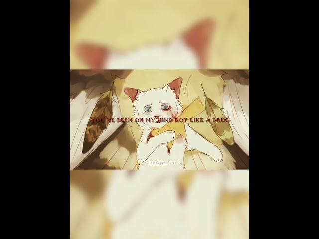 Warrior cats who deserve a second chance #warriorcats #snowkit #swiftpaw #bristlefrost #mosskit