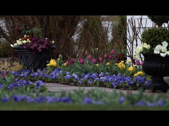 Peaceful Rainy Day Garden Tour 