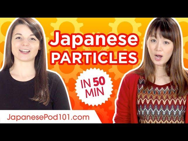 Learn ALL Japanese Particles in 1 Hour - Basic Japanese Grammar