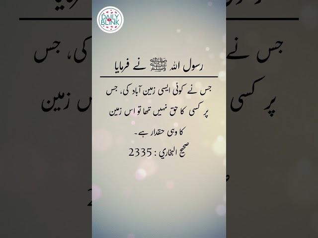 Daily Hadees | Hadees Sharif | Sahih Bukhari 2335 || Daily Blink #shorts #viral #sahihbukhari