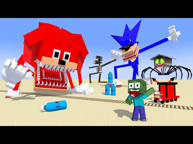 Cursed Shin Sonic vs Shin Knuckles vs Boss choo-choo train BOTTLE FLIP : Minecraft Animation