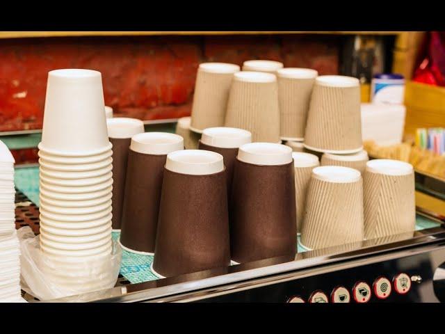 How paper cups are made