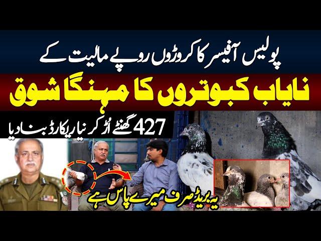 Nayab Haider Pigeon club Exclusive Interview | Kabootar Bazi | Expensive Pogeons in Pakistan