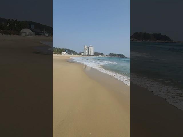 죽도해변