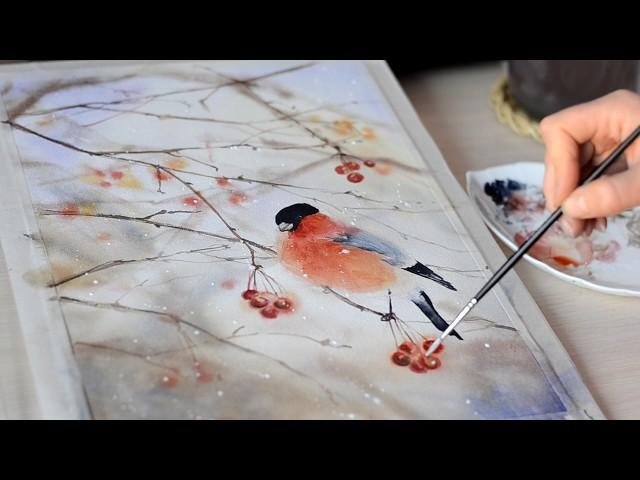 Watercolor painting Bullfinch.