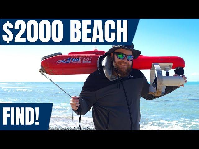 Finding a $2000 torpedo and a mystery fossil bone on a secluded beach