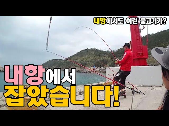 내항에서 이런 고급어종이? 염장지렁이 원투  [캠낚세끼] / 추자도 낚시n캠핑 / caravan / camping car / Fishing / 캠핑카