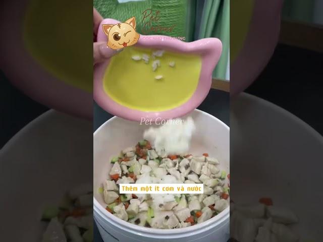Tự làm thức ăn cho mèo lười uống nước - Pet Corner