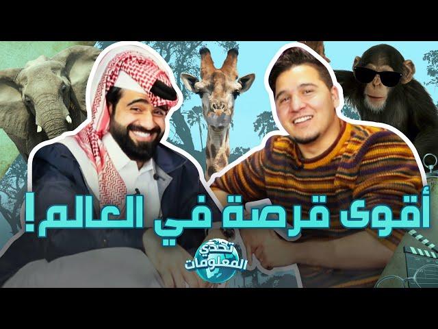 تحدي المعلومات - عجائب عالم الحيوان
