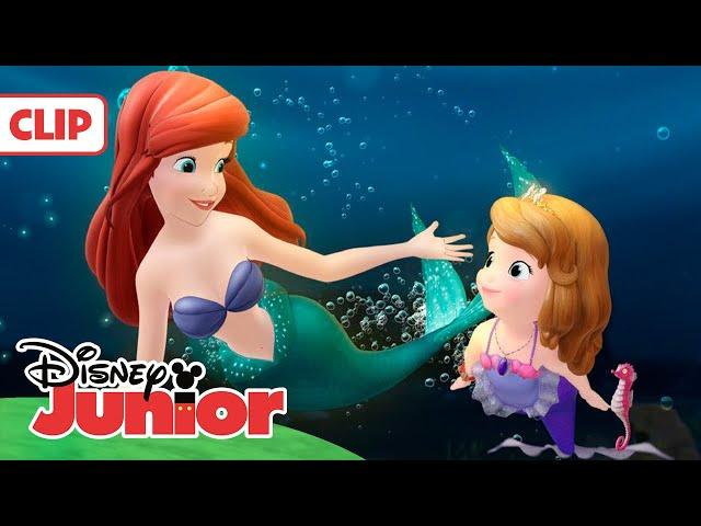 La Princesa Sofía: Momentos Mágicos - Ariel ayuda a Sofia | Disney Junior Oficial