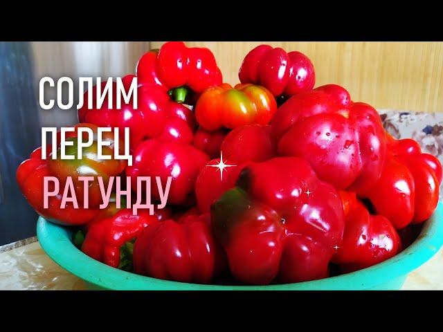 Солим перец ратунду на зиму (без уксуса)  - отличная закуска, разлетается мгновенно