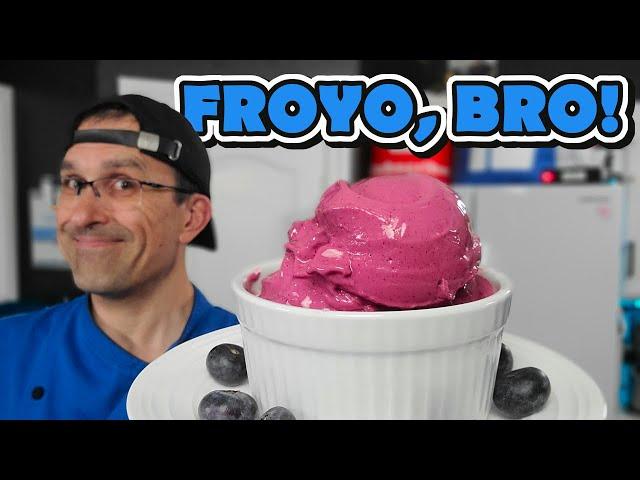 How to Make Awesome Low Sugar Blueberry Frozen Yogurt | Ninja Creami Deluxe Recipe