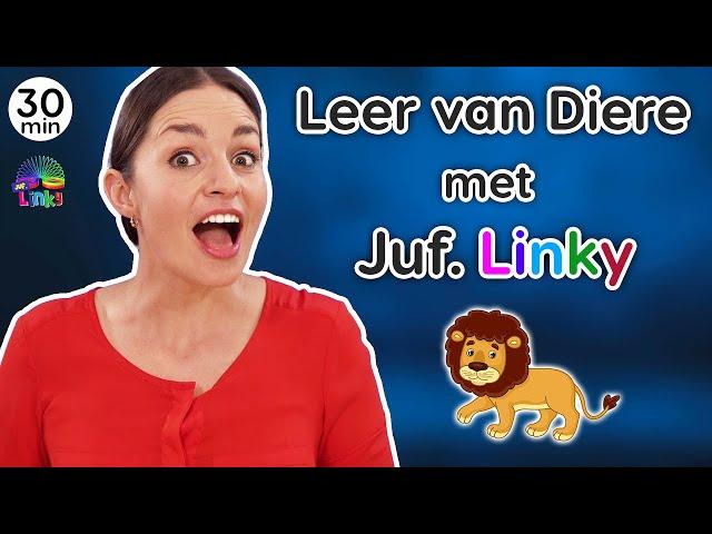 Leer van Diere | Plaasdiere, Wilde Diere, Troeteldiere | Afrikaanse Rympies