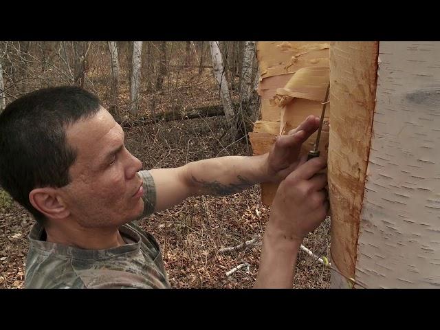 Sharing Medicines: Balsam Bark, Poplar Bark, Sage, Sweetgrass, and Wihkes.