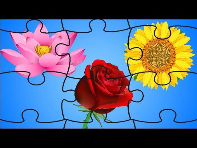 Puzzles For Kids | Learn How To Solve a Jigsaw Puzzle | Flower Jigsaw Puzzle