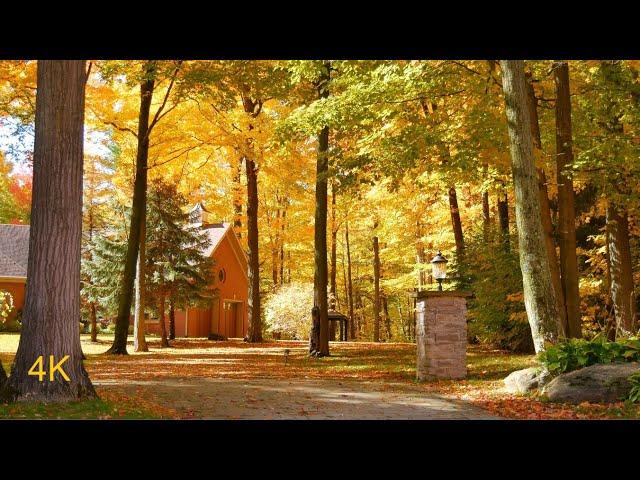 BEAUTIFUL AUTUMN COLORS Countryside Foliage near Toronto Fall Colours 4K UHD tv