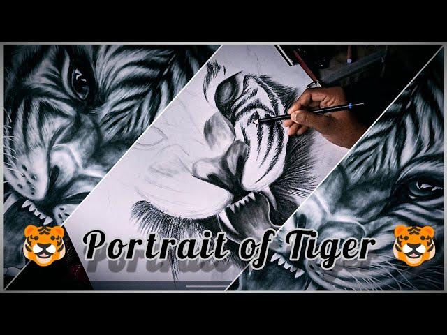 TIGER PORTRAIT  || CHARCOAL MEDIUM || Soumya's Art Galaxy