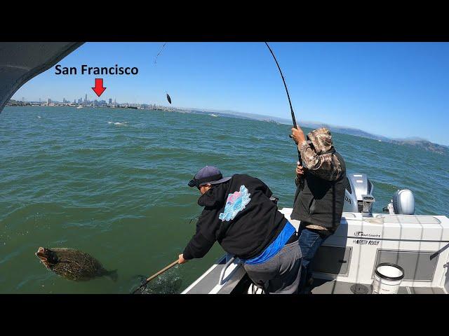 San Francisco Bay Live Bait Drifting for Halibut and Striped Bass