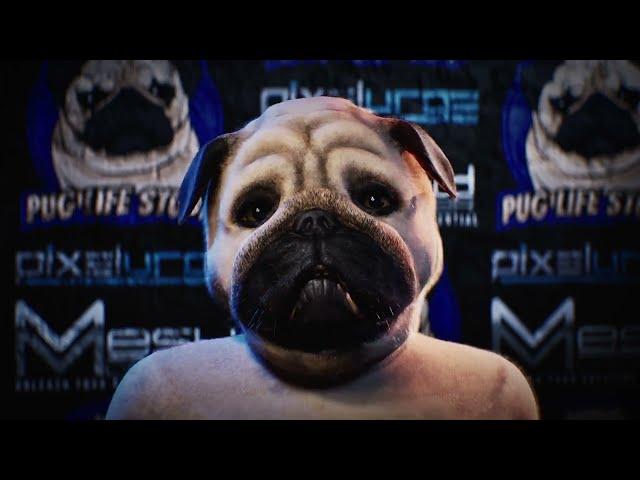 Custom Meta Human/Pug @PixelUrge