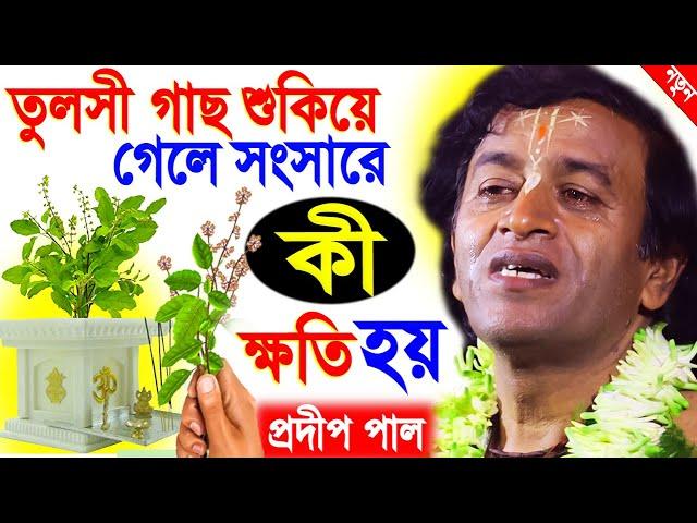 তুলসী গাছ শুকিয়ে গেলে সংসারে কি ক্ষতি হয় ? pradip pal kirtan 2022 | prodip pal kirton | prodeep