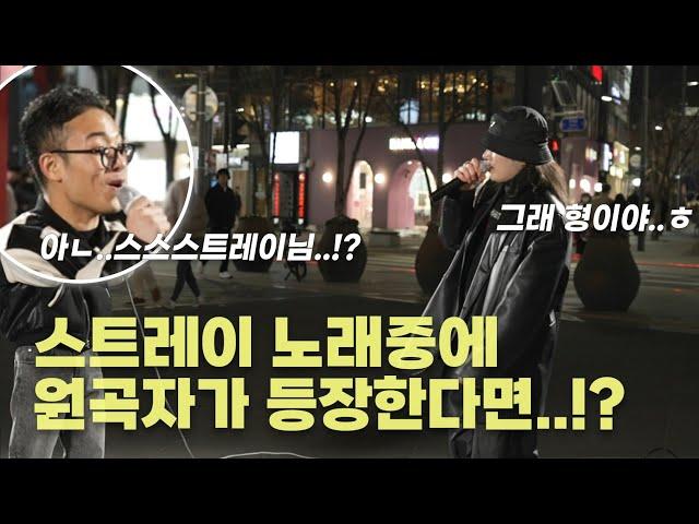 원곡자가 나타나 함께 노래를 불러준다면!?#스트레이 #달