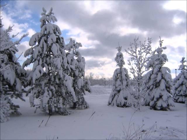 Violet in the Snow  @MaureenTeresa1 - ( God came to us like a violet in the snow)