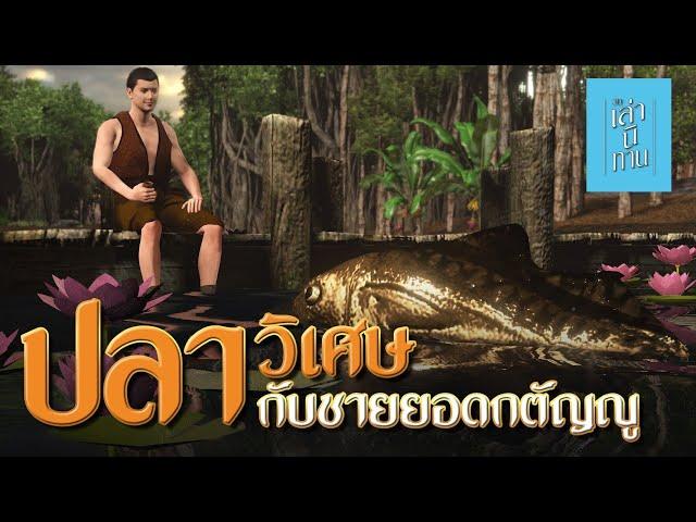 เล่านิทาน 3D | EP.209 ปลาวิเศษกับชายยอดกตัญญู