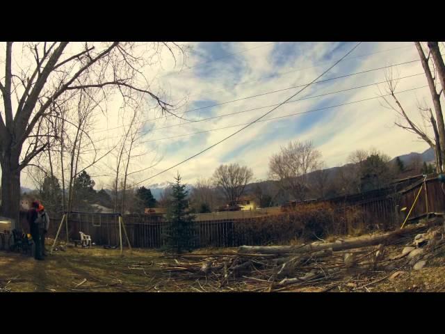 Cutting down the poplars