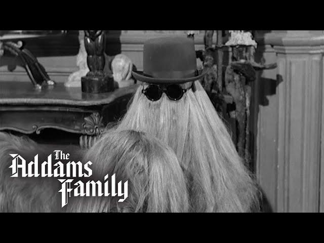 Is Cousin Itt Losing His Hair? | The Addams Family