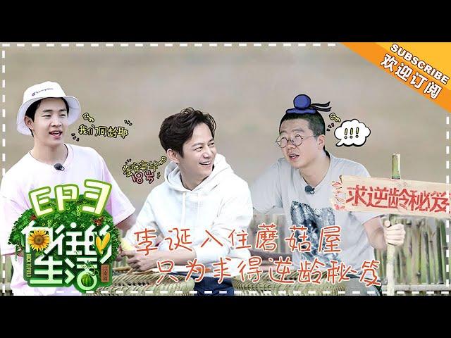 《Back to Field 2》EP3 | Huang Lei, Peng Yuchang, He Jiong, Henry Lau【湖南卫视官方频道】