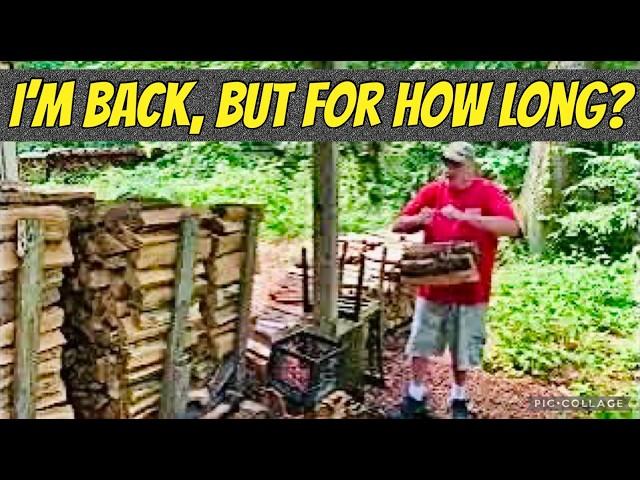 FIREWOOD | Telling you why my video production is down while making bundles