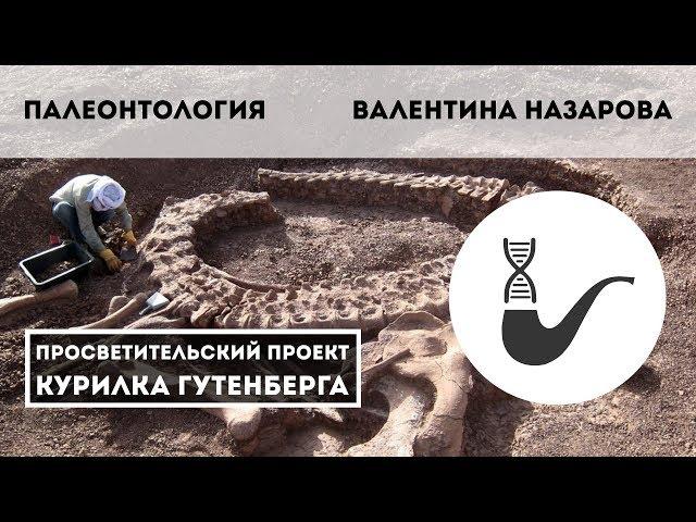 Палеонтология – Валентина Назарова