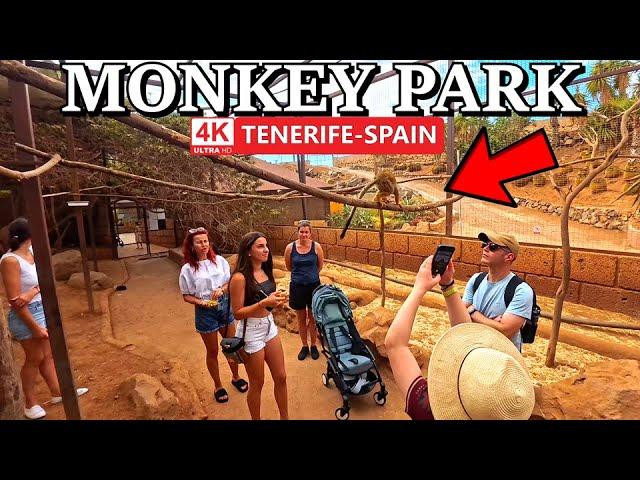 TENERIFE - LOS CRISTIANOS | The most interactive park with animals 