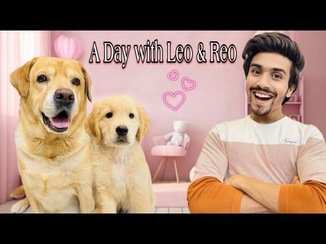 A Day With Leo & Reo | Leo Ke Baby Ki First Bath | Anant Rastogi