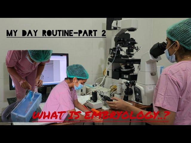 My day routine- Part 2... What Embryologist does..??