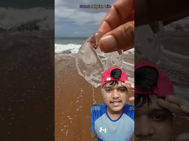 Clear jellyfish #beach #oceanrescue #travel #ocean #rescue #trending #funny #comedy #shorts #tiktok