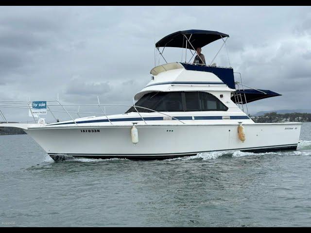 Bertram 35 Flybridge Cruiser - Walkthrough