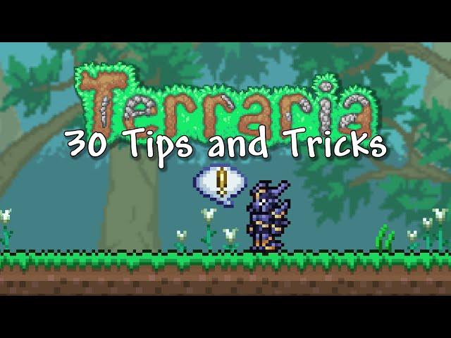 30 Tips and Tricks for Terraria!