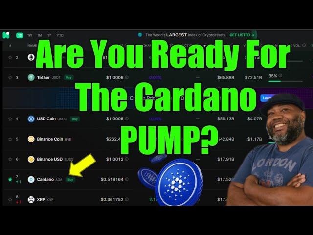 Time For Some Cardano TA | Bear Market Episode 4 | ADA TA |