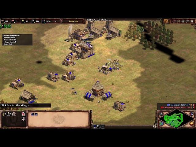 How to beat the Extreme AI in 13 minutes (AoE2DE)