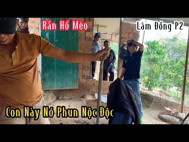 Lâm Đồng : Tiến Sâu Vào Rừng Chinh Phục Hổ Mang | Mười Thương SB