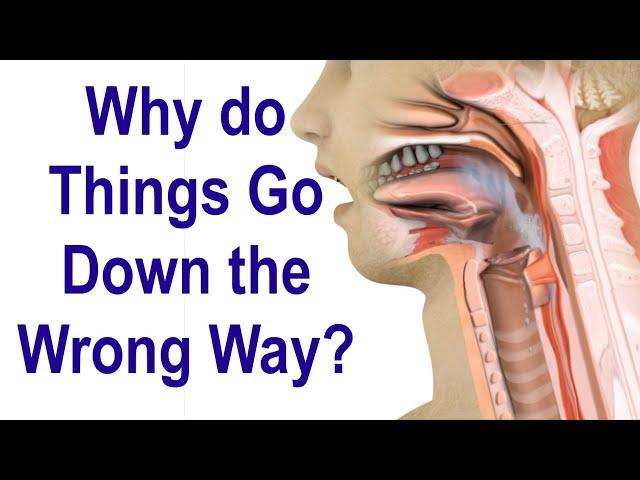 Why do Things Go Down the Wrong Way When Swallowing Sometimes (Aspiration)?