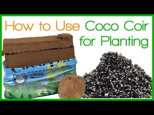 How to Use Coco Coir for Planting